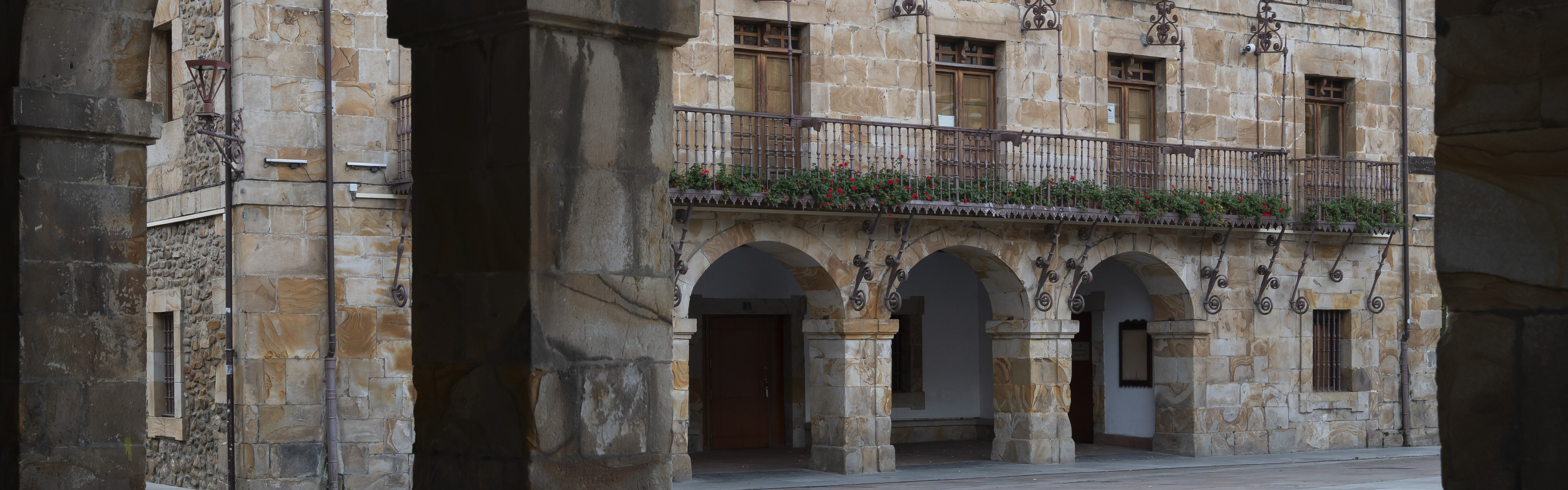 Biblioteca digital: eLiburutegia