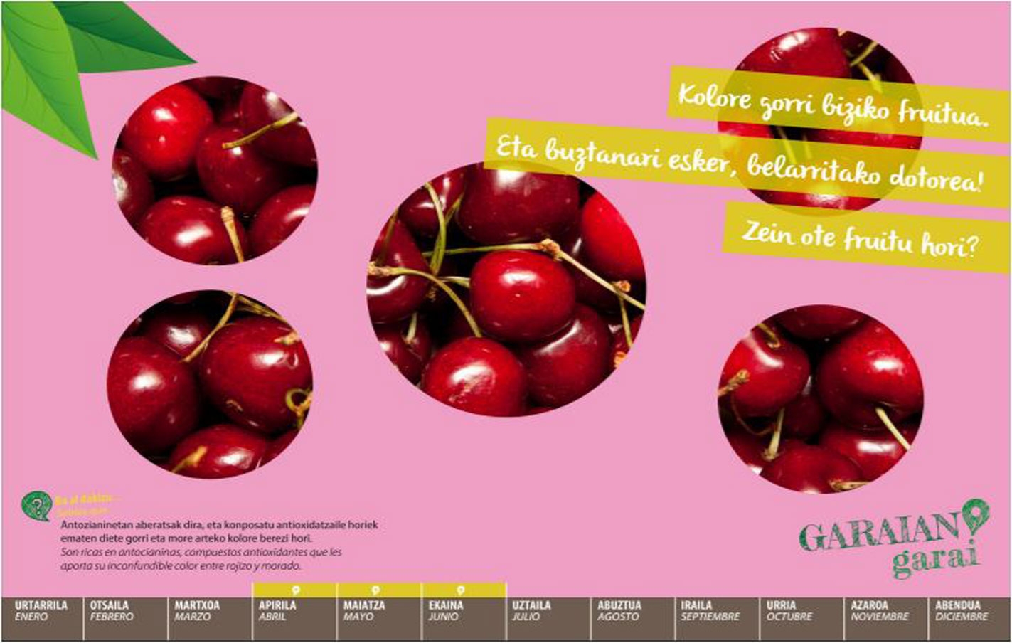 Respuesta a la adivinanza del mes de junio: Cerezas