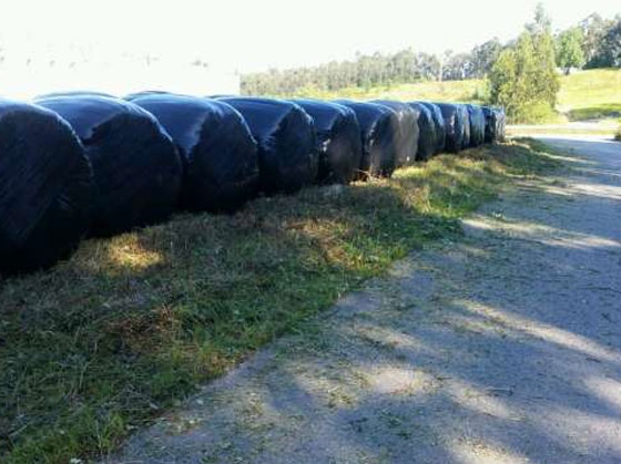 Bolas de silo
