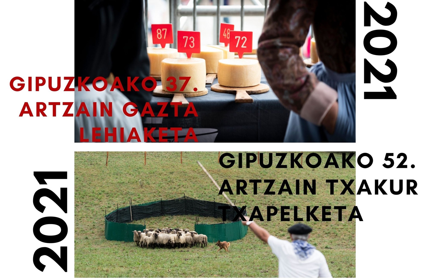 El domingo 5 de septiembre se celebrarán en Legazpi el XXXVII Concurso de queso de pastor de Gipuzkoa y el 52 Campeonato de perro pastor de Gipuzkoa