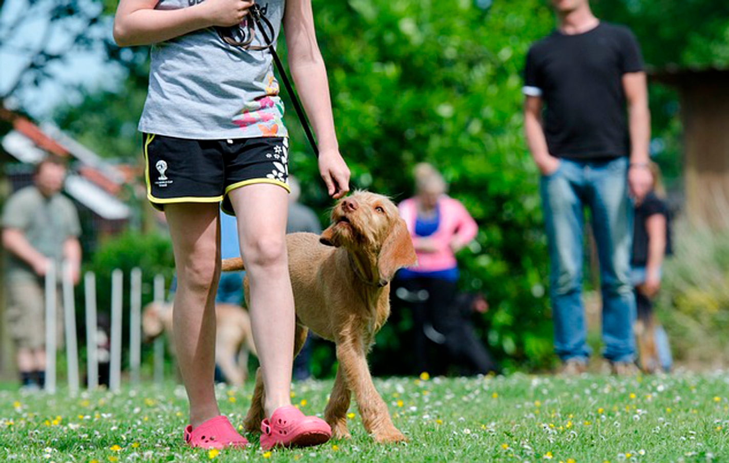 Formación para propietarios de perros, de la mano de Kangune