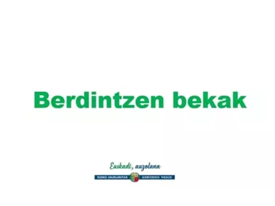Convocatoria de becas BERDINTZEN 2021