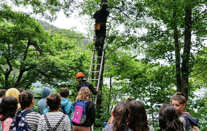 Instaladas las cajas refugio para murciélagos en Barrendiola