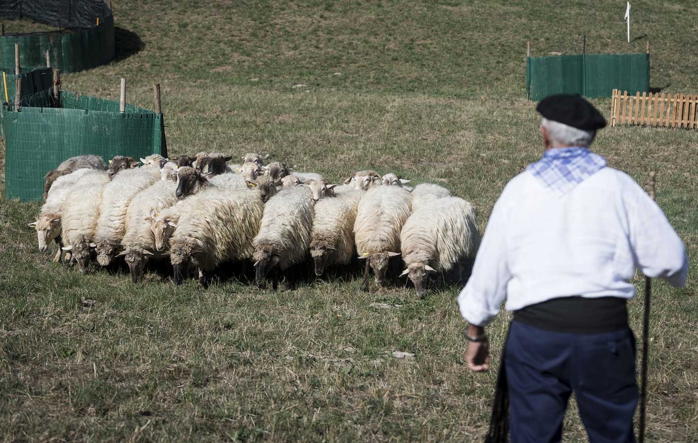 Gipuzkoako ARTZAIN EGUNA 2019
