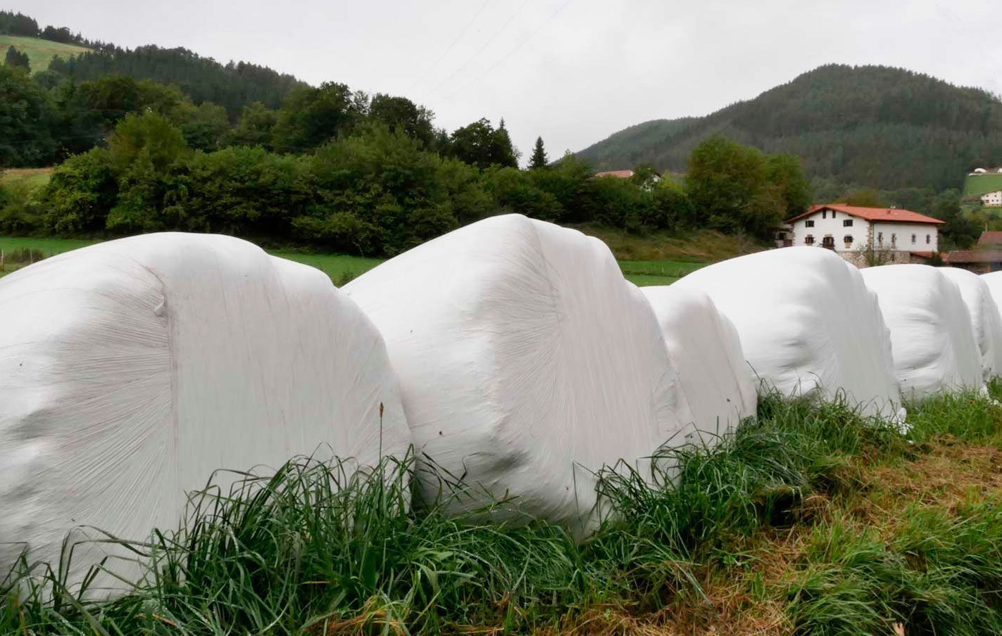Servicio de recogida de plásticos para la elaboración de bolas de silo