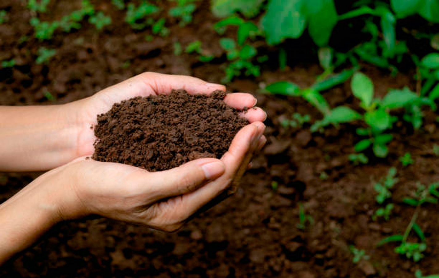 ¡Anímate a hacer compost!