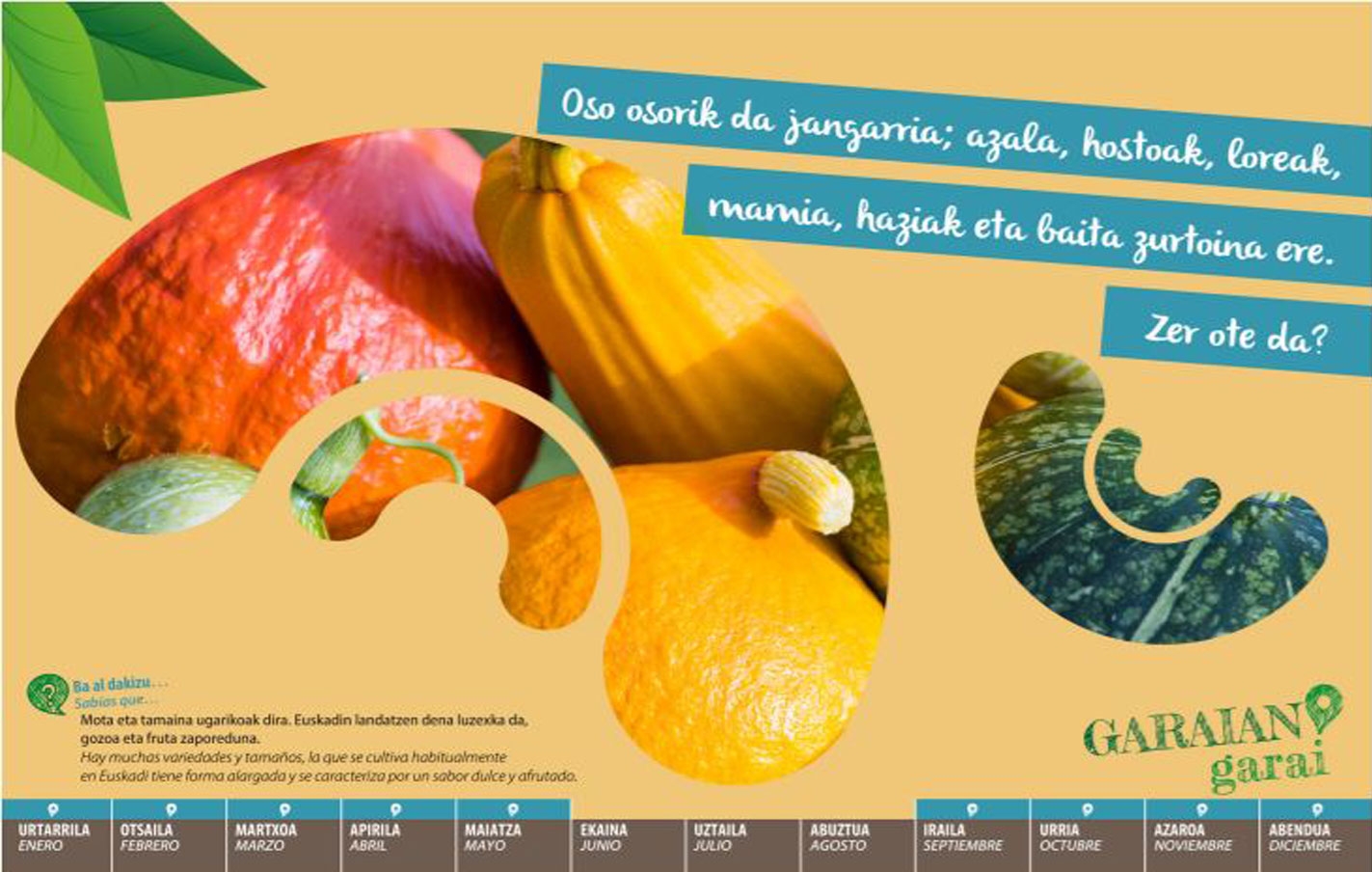 Respuesta a la adivinanza del mes de febrero: Calabaza