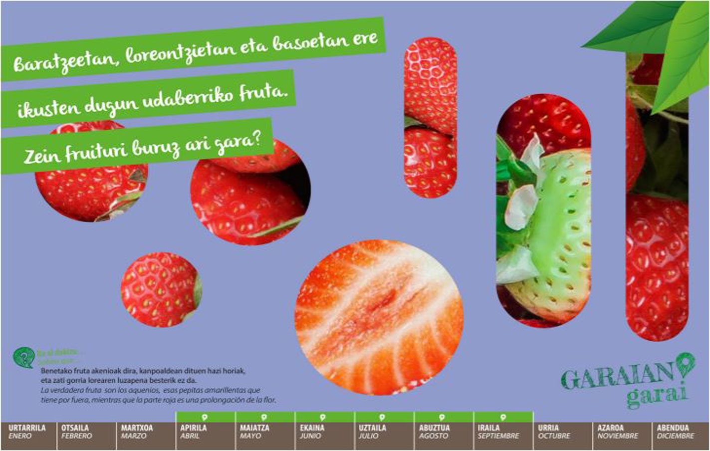 Respuesta a la adivinanza del mes de abril: Fresa