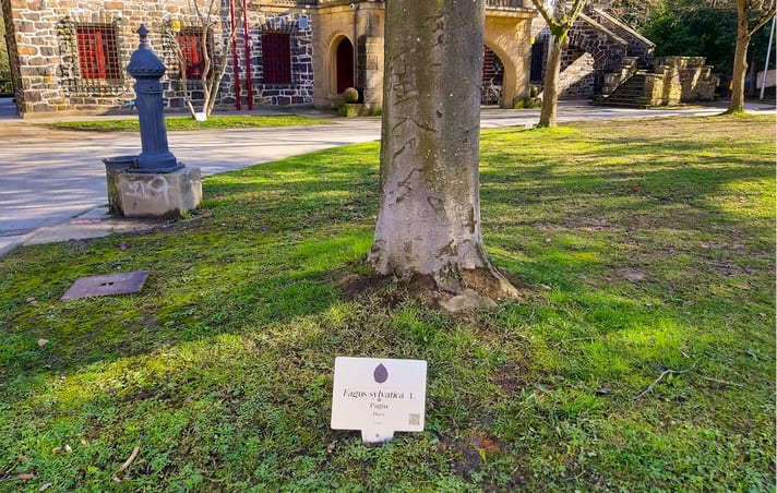 Conoce los árboles del parque de Agirre-Etxeberri