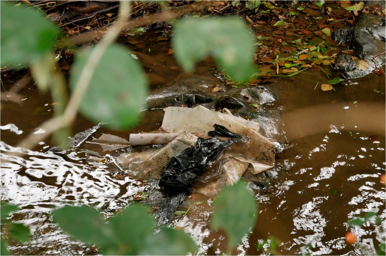 Realizada la limpieza del río Urola y regata de Urtatza