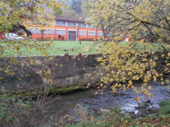 Retirada del muro de hormigón en la ladera del río y construcción de un muro natural en Mirandaola