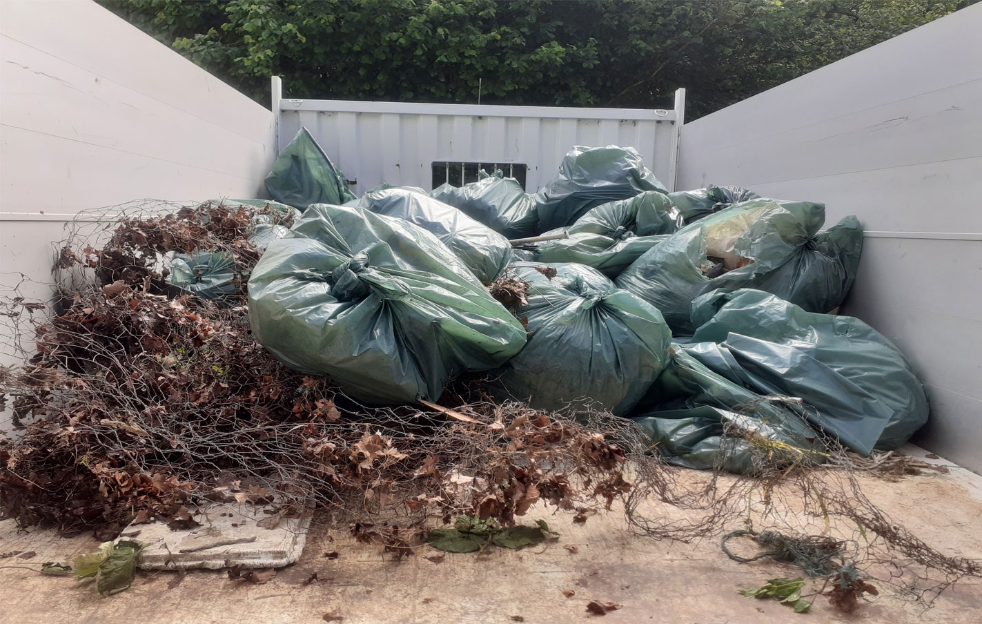 Realizada la limpieza del río Urola y regata de Urtatza