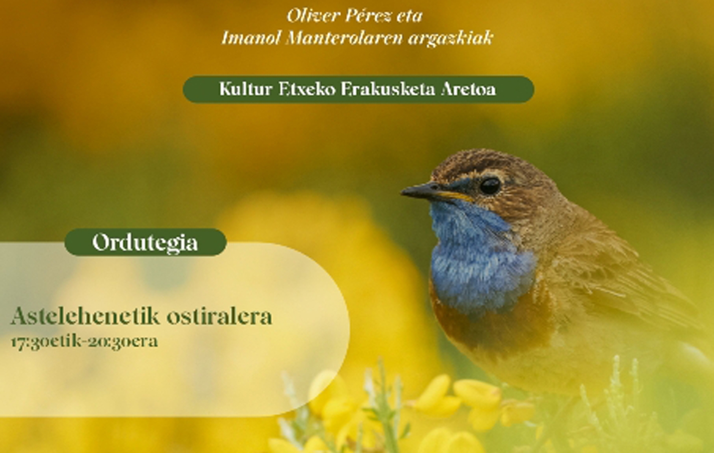 Exposición fotográfica Las tienes cerca, sólo tienes que observarlas. Aves del Geoparque en Kultur Etxea
