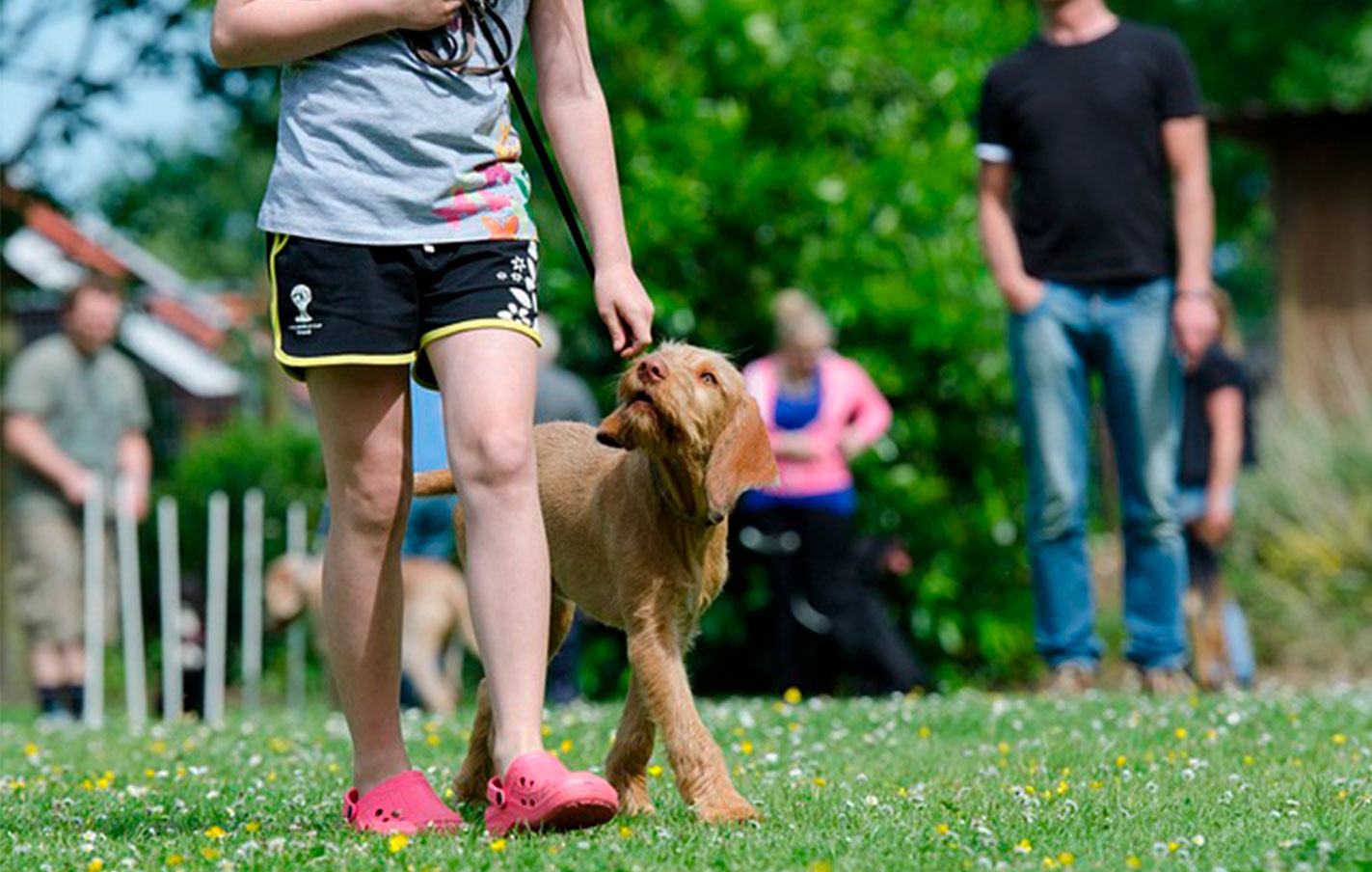 Nueva formación gratuita para las-os propietarias-os de perros en Legazpi, de la mano de Kangune