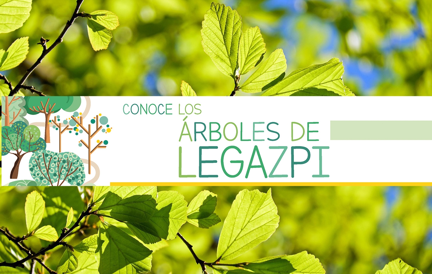 Conoce los árboles de Legazpi