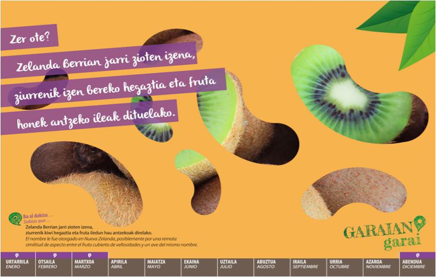 Respuesta a la adivinanza del mes de diciembre: Kiwi
