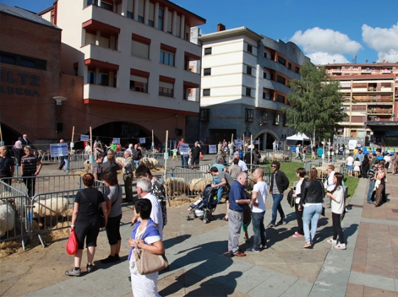 Gipuzkoako Artzain Eguna, el 3 de septiembre
