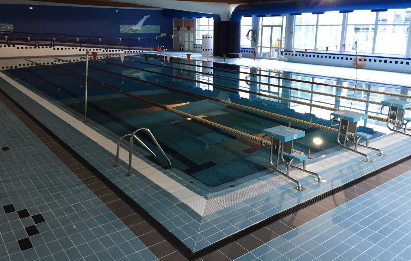 Mantenimiento de las piscinas del polideportivo Bikuña.