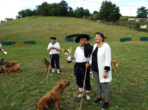 Campeonato de perro de pastor de Gipuzkoa