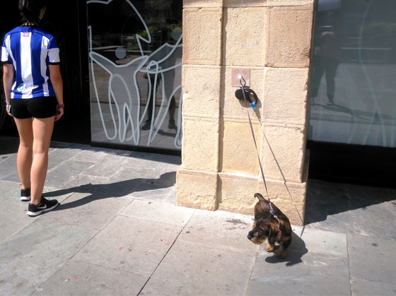 La Casa Consistorial ya cuenta con una anilla de parking para perros