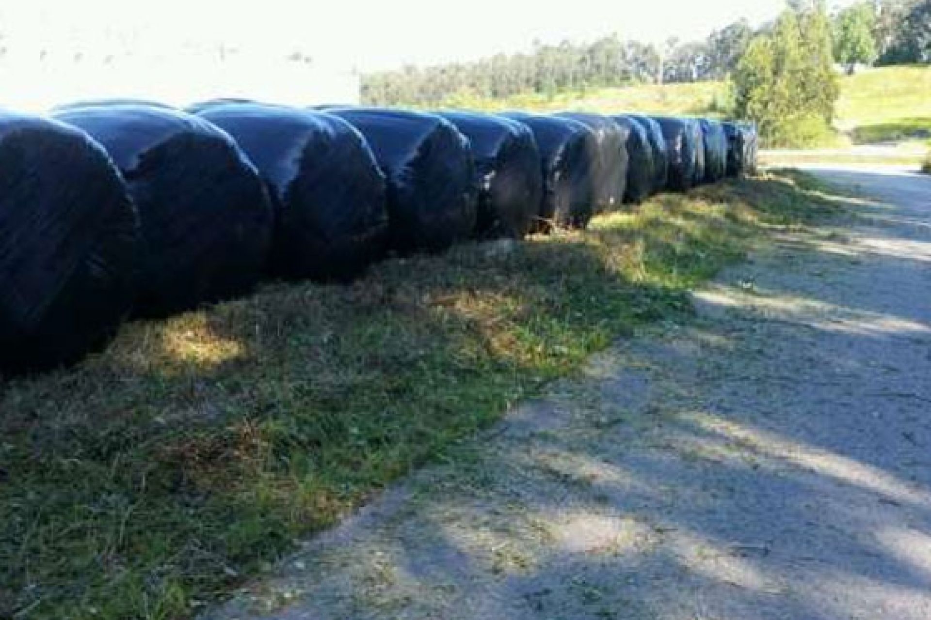 Bolas de silo