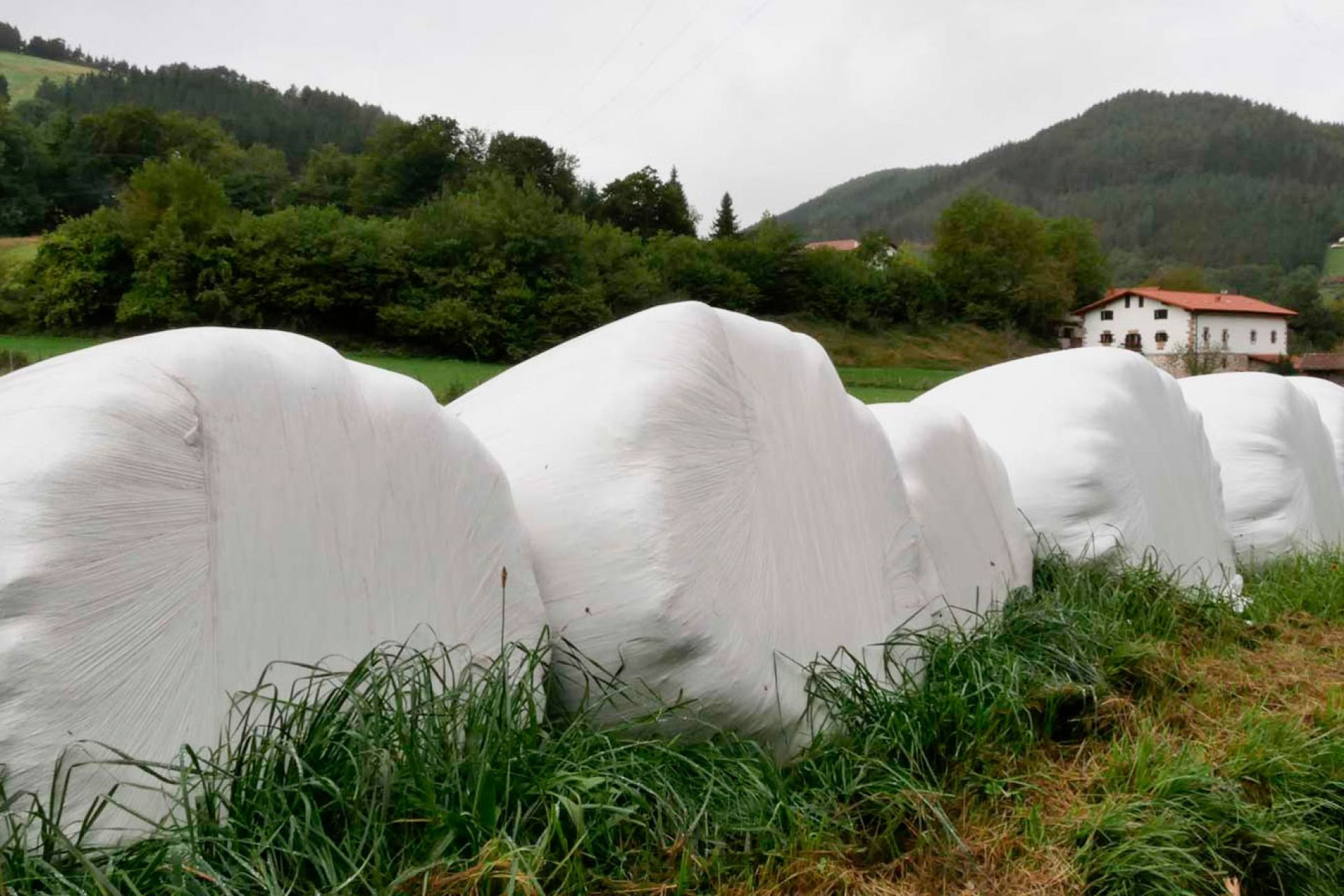 Servicio de recogida de plásticos para la elaboración de bolas de silo